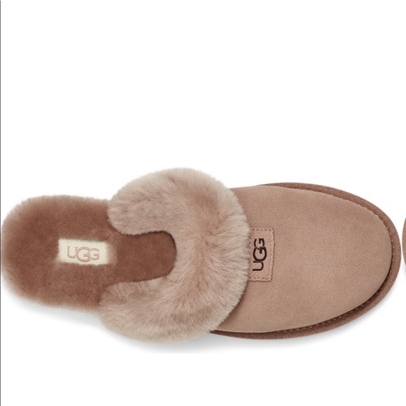 NWB UGG genuine shearling cozy suede slipper runs large - Picture 4 of 9